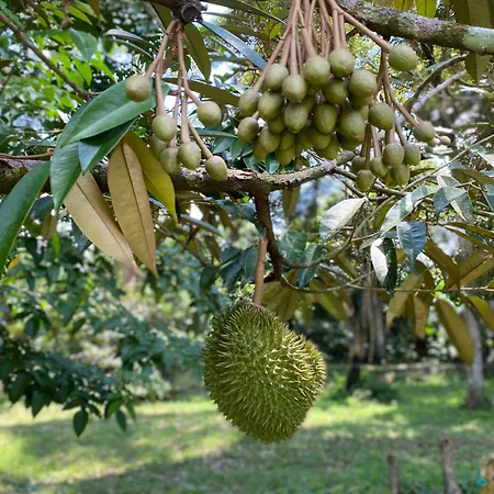 Kebun Puisi Villa Kajang Luaran gambar