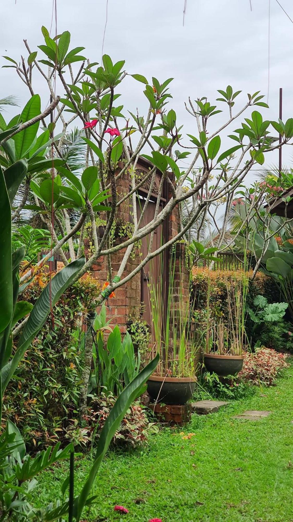 Kebun Puisi Holiday home